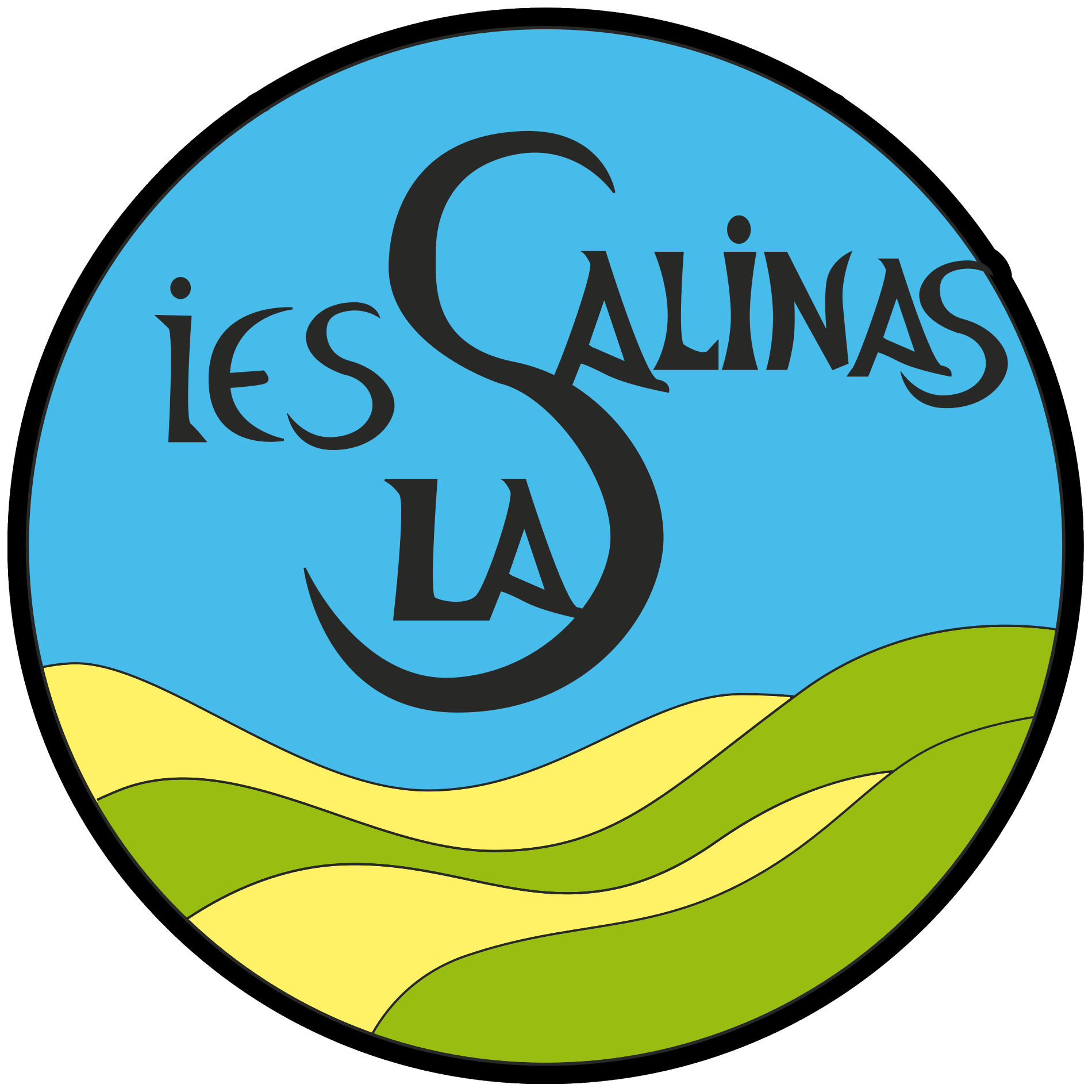 Logo Salinas